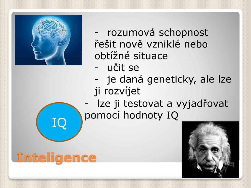IQ Inteligence rozumová schopnost řešit nově vzniklé nebo