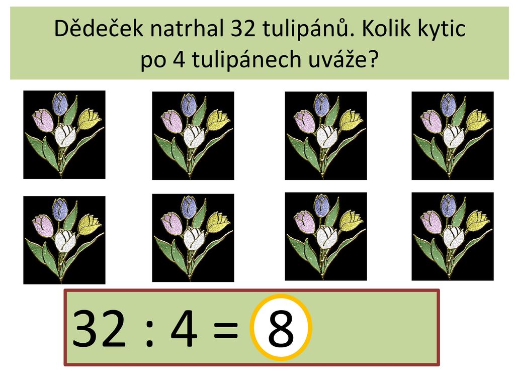 Dědeček natrhal 32 tulipánů. Kolik kytic po 4 tulipánech uváže