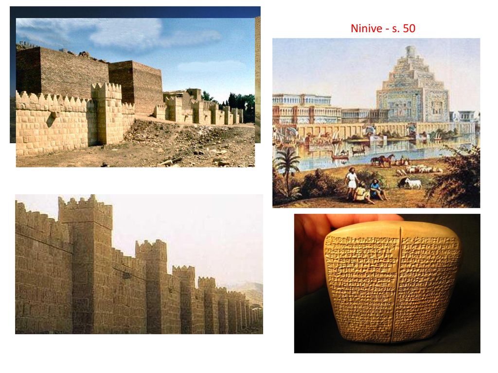 Ninive - s. 50