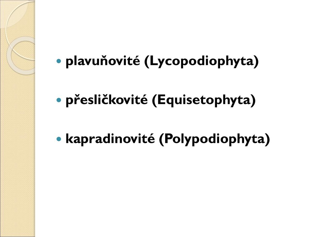 plavuňovité (Lycopodiophyta)