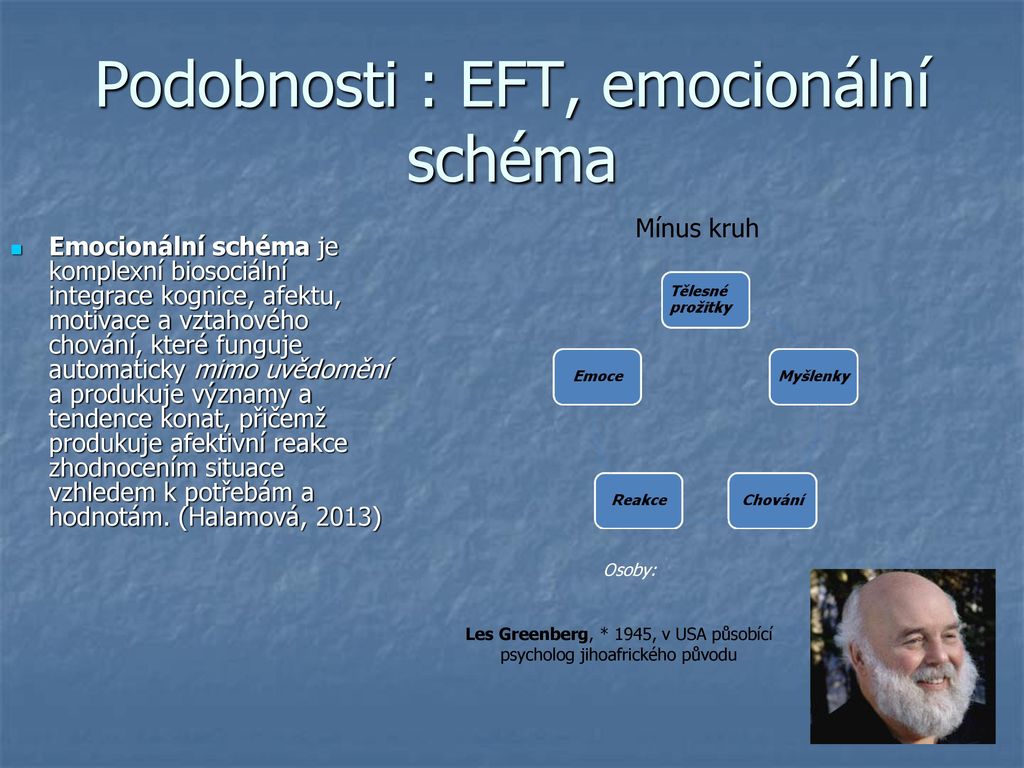 Podobnosti : EFT, emocionální schéma