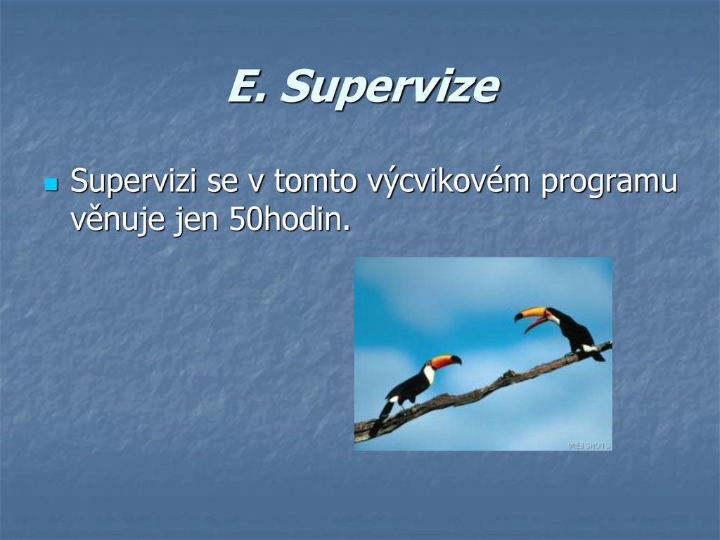 E. Supervize Supervizi se v tomto výcvikovém programu věnuje jen 50hodin.