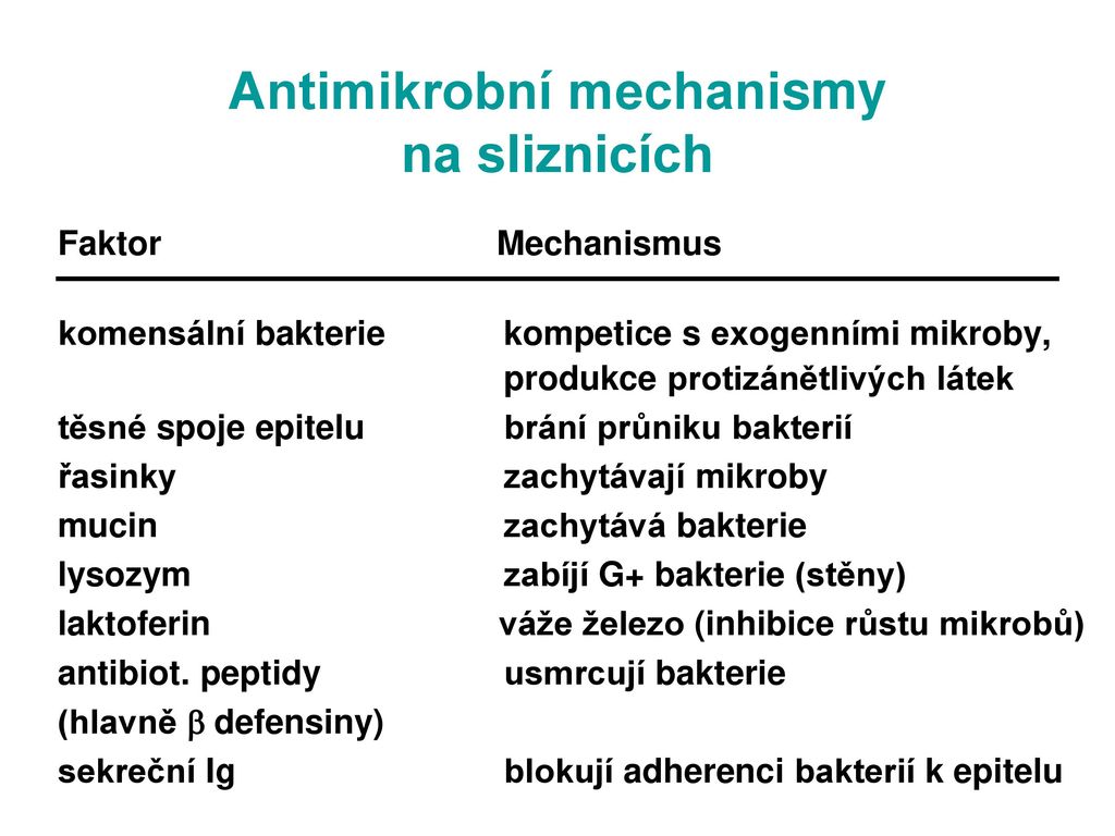 Regionalizace Imunitního Systému Slizniční Imunita - Ppt Stáhnout