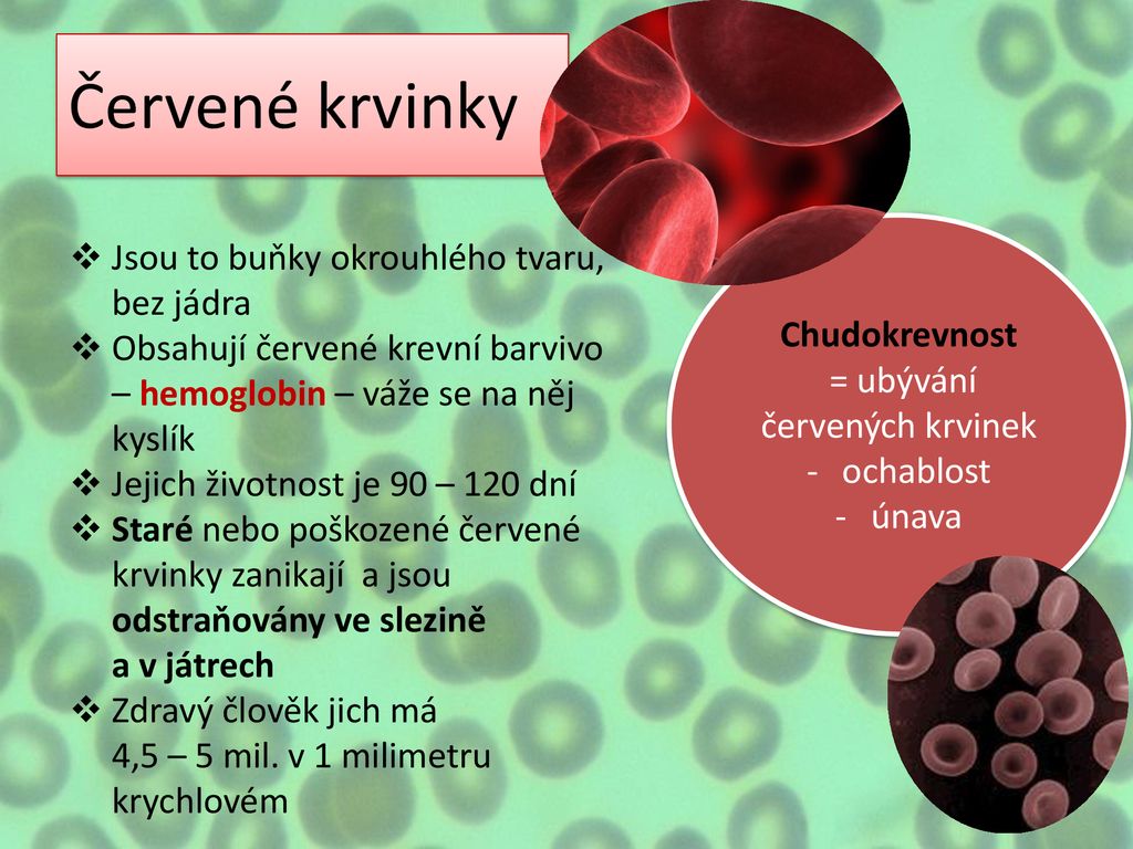 Autor: PaedDr. Hana Hrubcová Název:VY_32_INOVACE_3B_13_Krev Téma: Krev ...