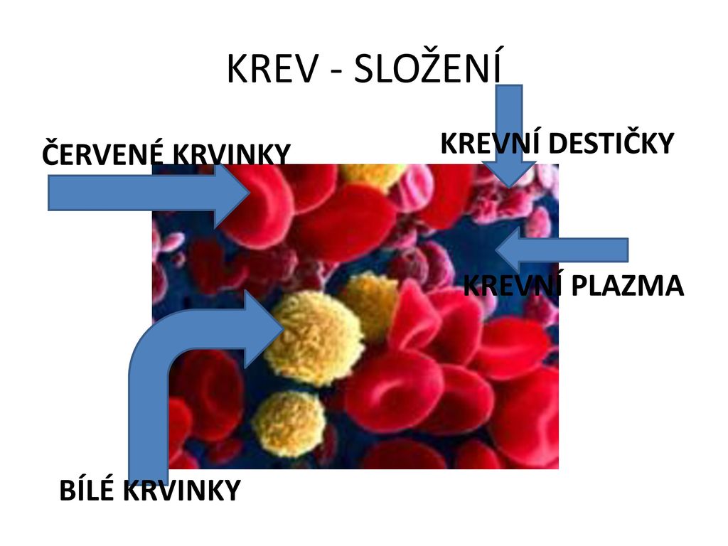 Tento Materiál Byl Vytvořen Rámci Projektu EU Peníze školám - Ppt Stáhnout