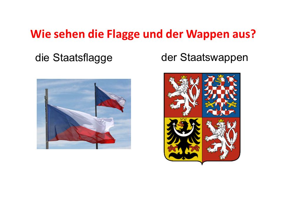 Wie sehen die Flagge und der Wappen aus
