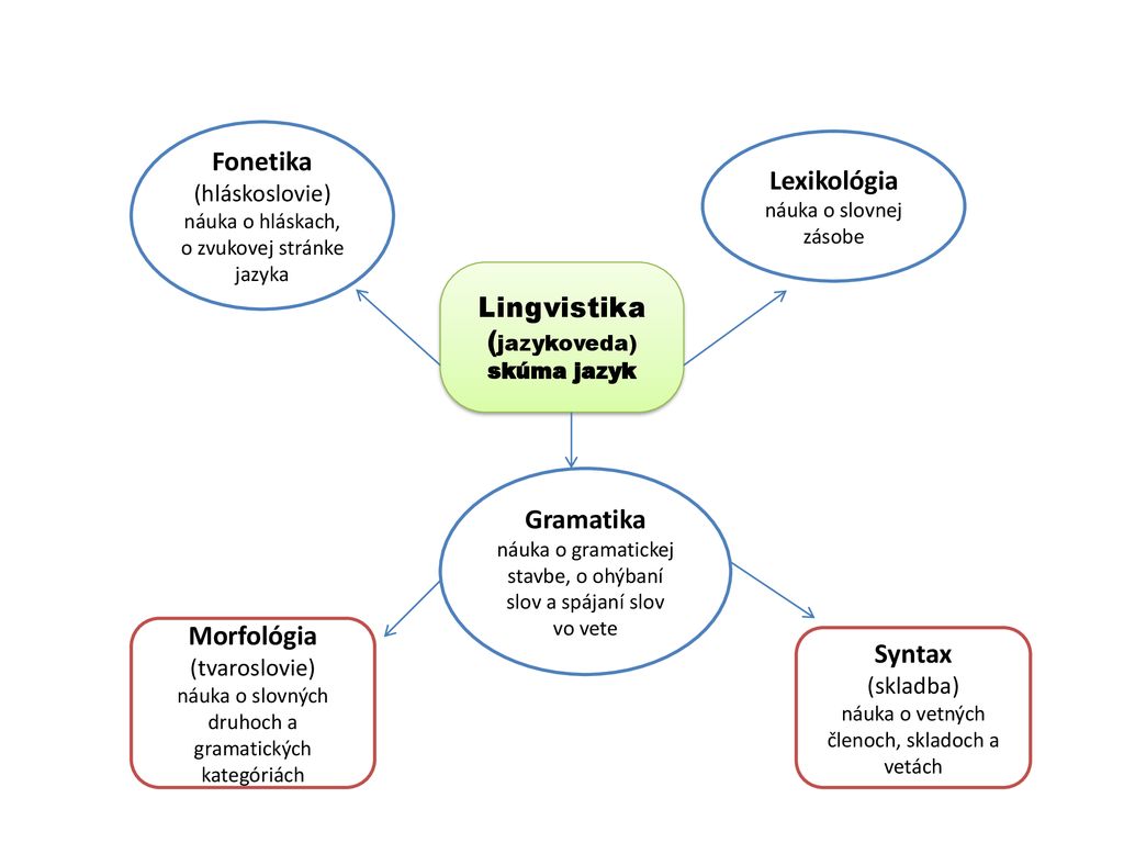 Lexikológia Gramatika Morfológia Syntax