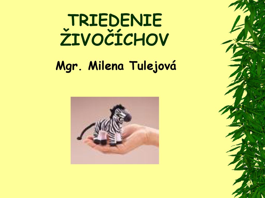 TRIEDENIE ŽIVOČÍCHOV Mgr. Milena Tulejová