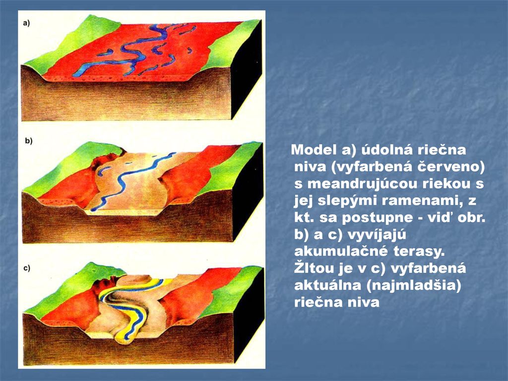 Model a) údolná riečna niva (vyfarbená červeno) s meandrujúcou riekou s jej slepými ramenami, z kt.