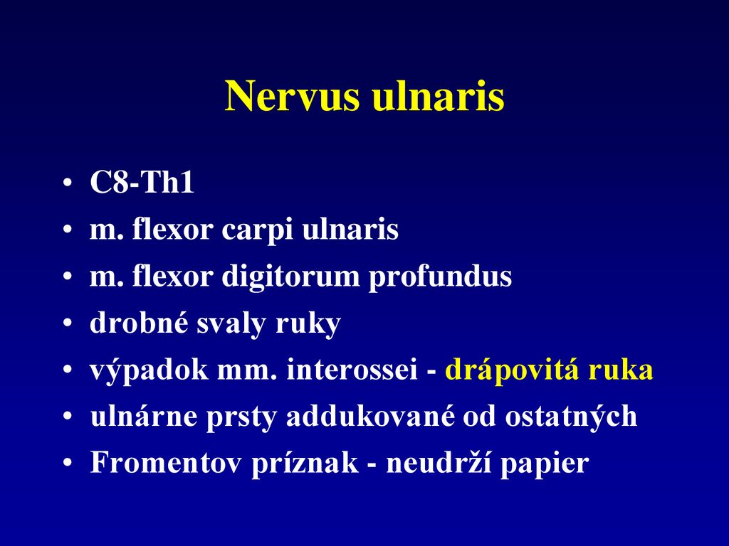 Nervus ulnaris C8-Th1 m. flexor carpi ulnaris