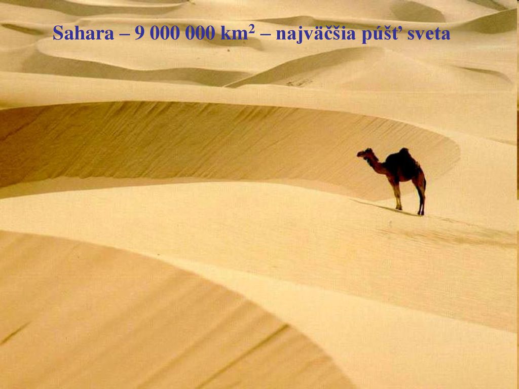 Sahara – km2 – najväčšia púšť sveta