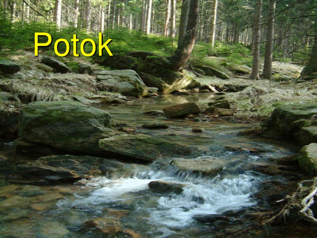 Potok