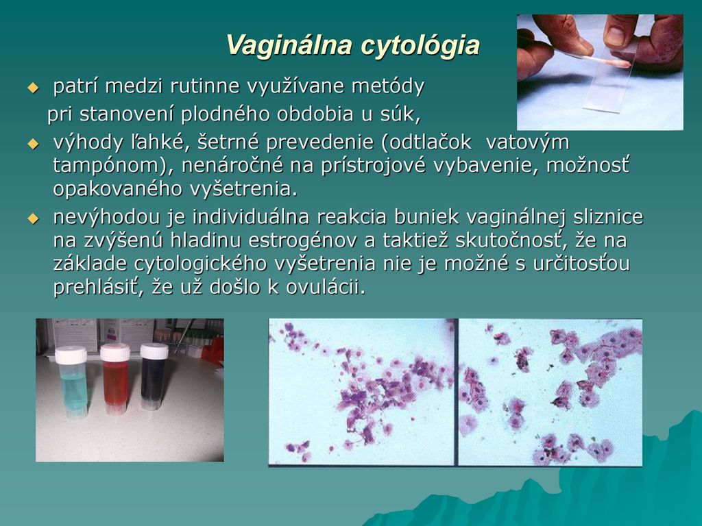 Vaginálna cytológia u suky