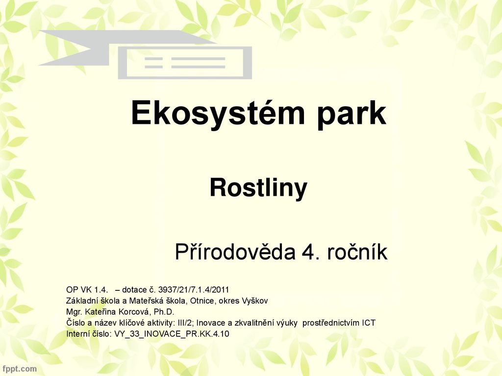Ekosystém park Rostliny