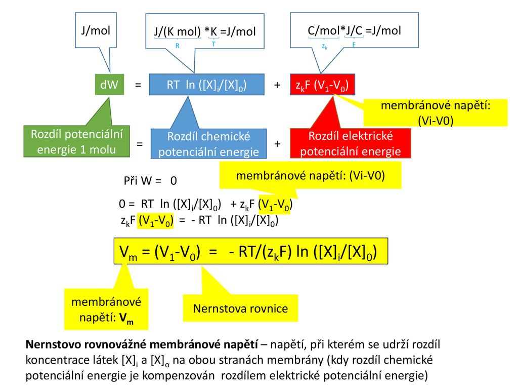 Na Pocet Castic V 1 Molu Ppt Stahnout