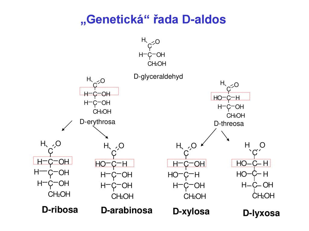 „Genetická řada D-aldos