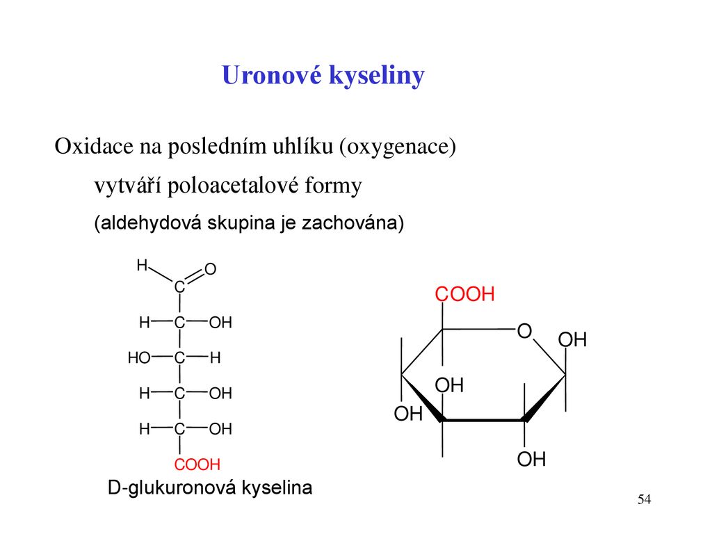 Uronové kyseliny Oxidace na posledním uhlíku (oxygenace)