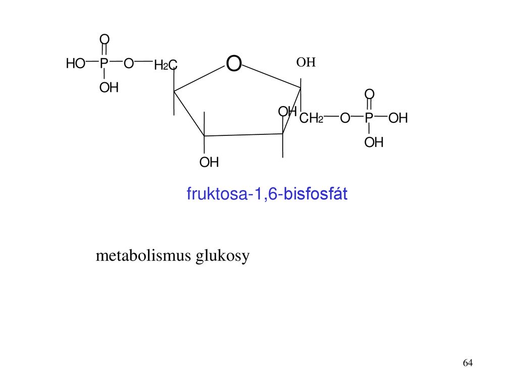 O H 2 C P fruktosa-1,6-bisfosfát OH metabolismus glukosy