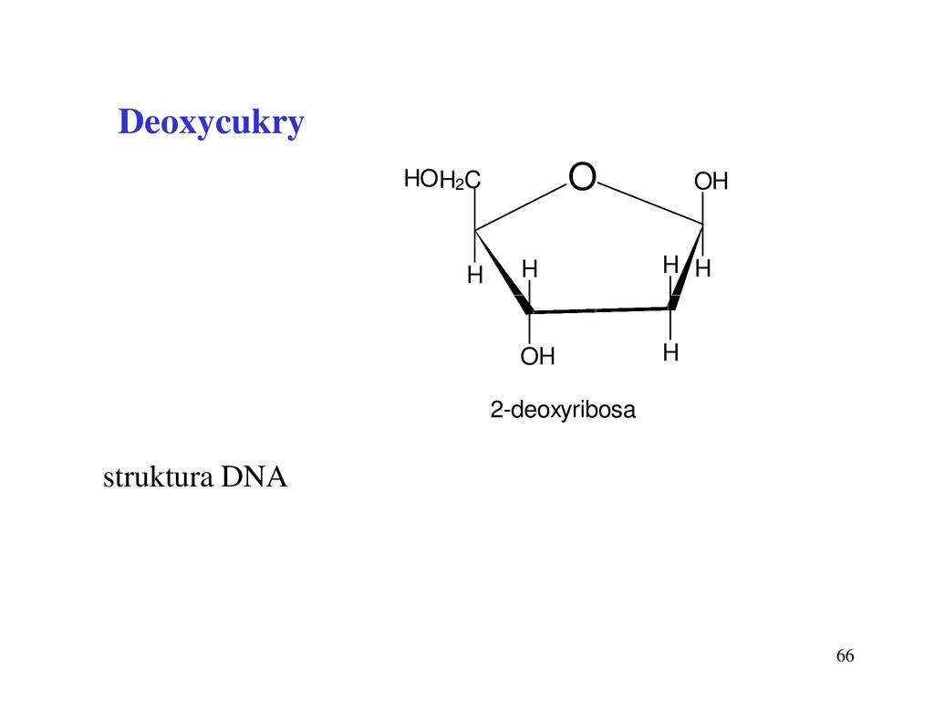 Deoxycukry struktura DNA