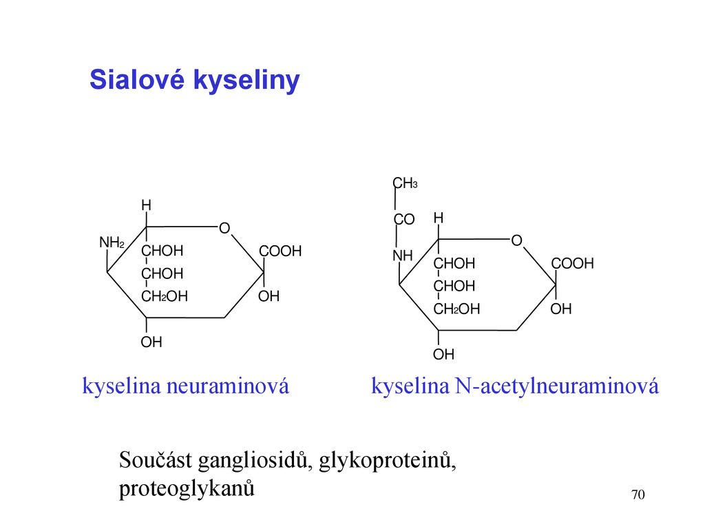 Sialové kyseliny kyselina neuraminová kyselina N-acetylneuraminová