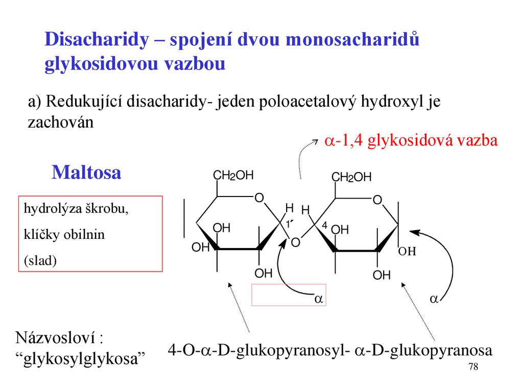 Disacharidy – spojení dvou monosacharidů glykosidovou vazbou