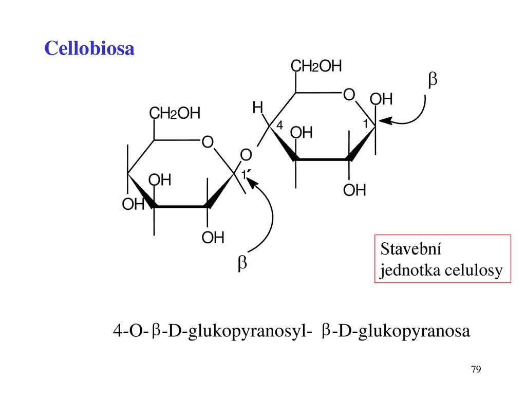 Cellobiosa b ´ b 4-O- -D-glukopyranosyl- -D-glukopyranosa