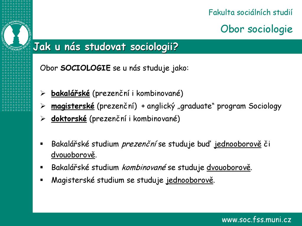 Co dělat po studiu sociologie?