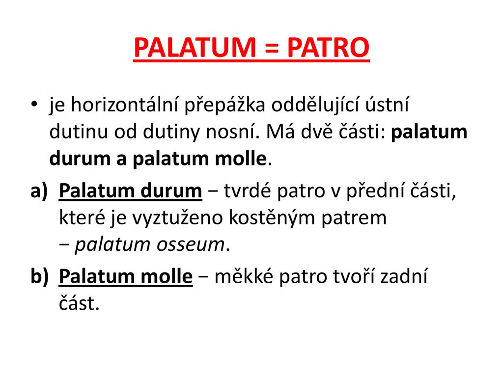 PALATUM = PATRO je horizontální přepážka oddělující ústní dutinu od dutiny nosní. Má dvě části: palatum durum a palatum molle.