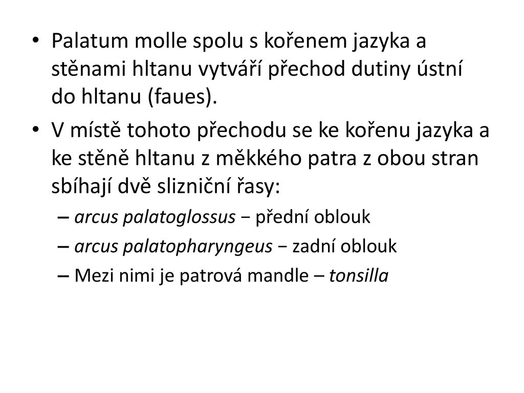 Palatum molle spolu s kořenem jazyka a stěnami hltanu vytváří přechod dutiny ústní do hltanu (faues).