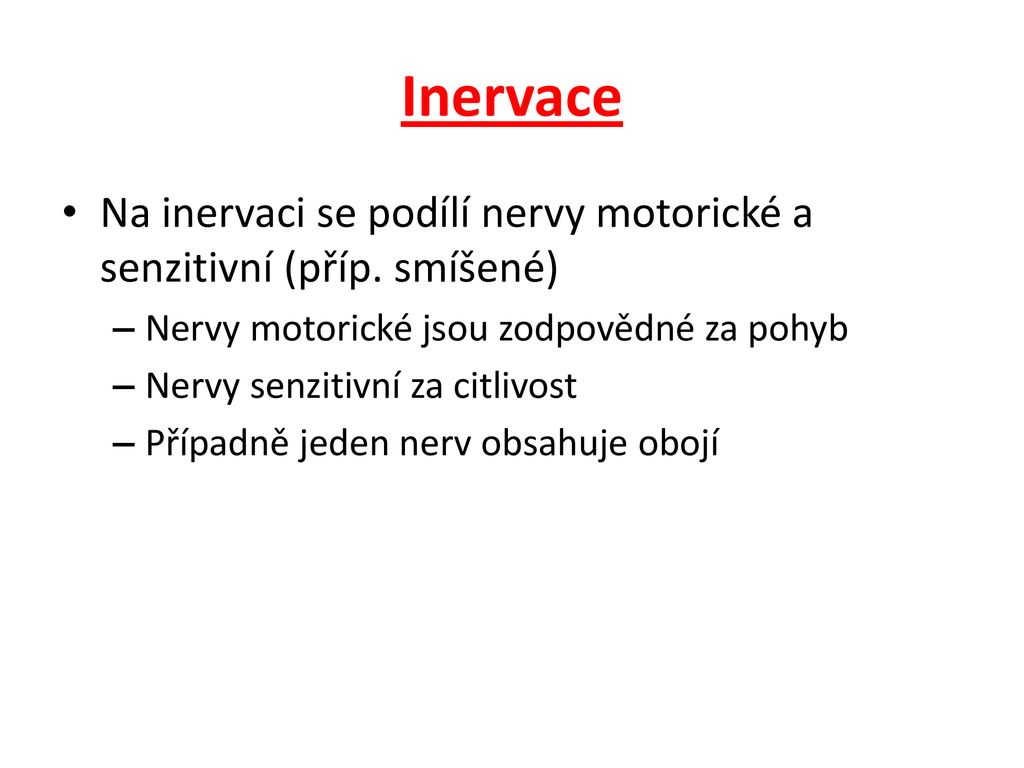 Inervace Na inervaci se podílí nervy motorické a senzitivní (příp. smíšené) Nervy motorické jsou zodpovědné za pohyb.