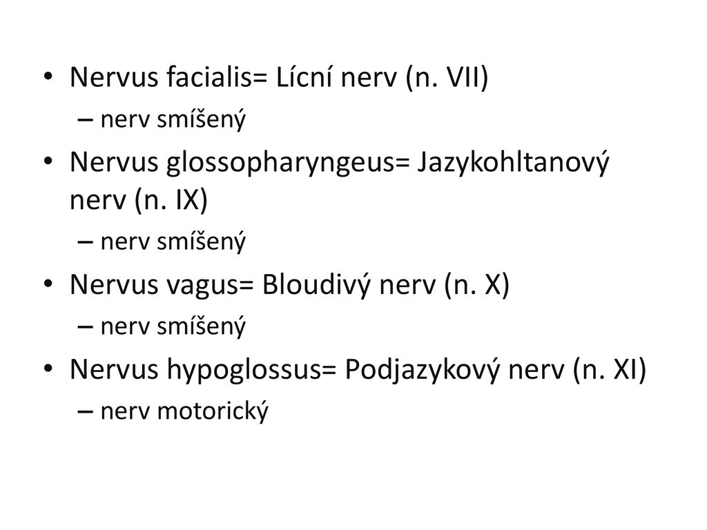 Nervus facialis= Lícní nerv (n. VII)