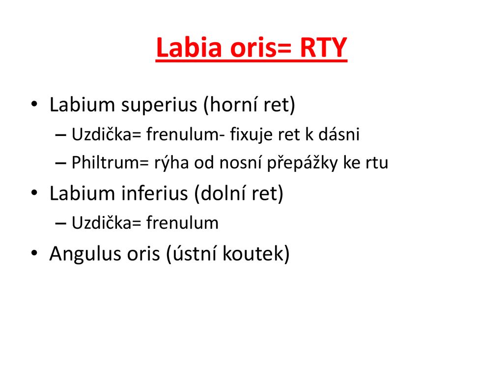 Labia oris= RTY Labium superius (horní ret)