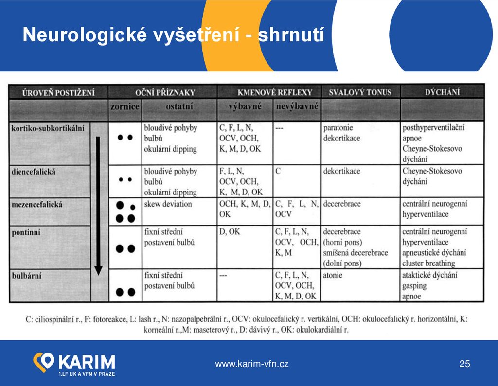 Vědomí, Poruchy Vědomí A Jejich Hodnocení, Základní Neurologické ...