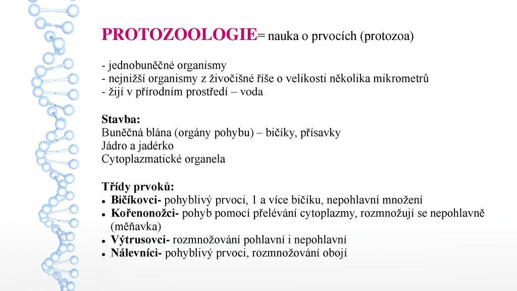 (Mikrobiologie, Epidemiologie, Imunologie A Hygiena) část 1 - Ppt Stáhnout