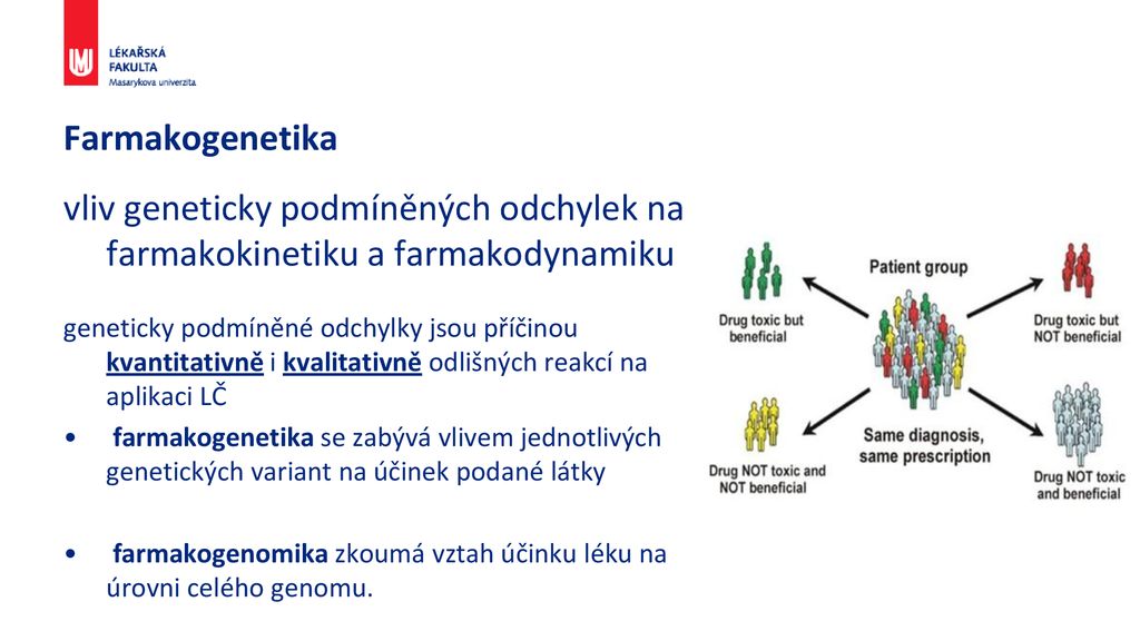 Čím se zabývá farmakogenetika?