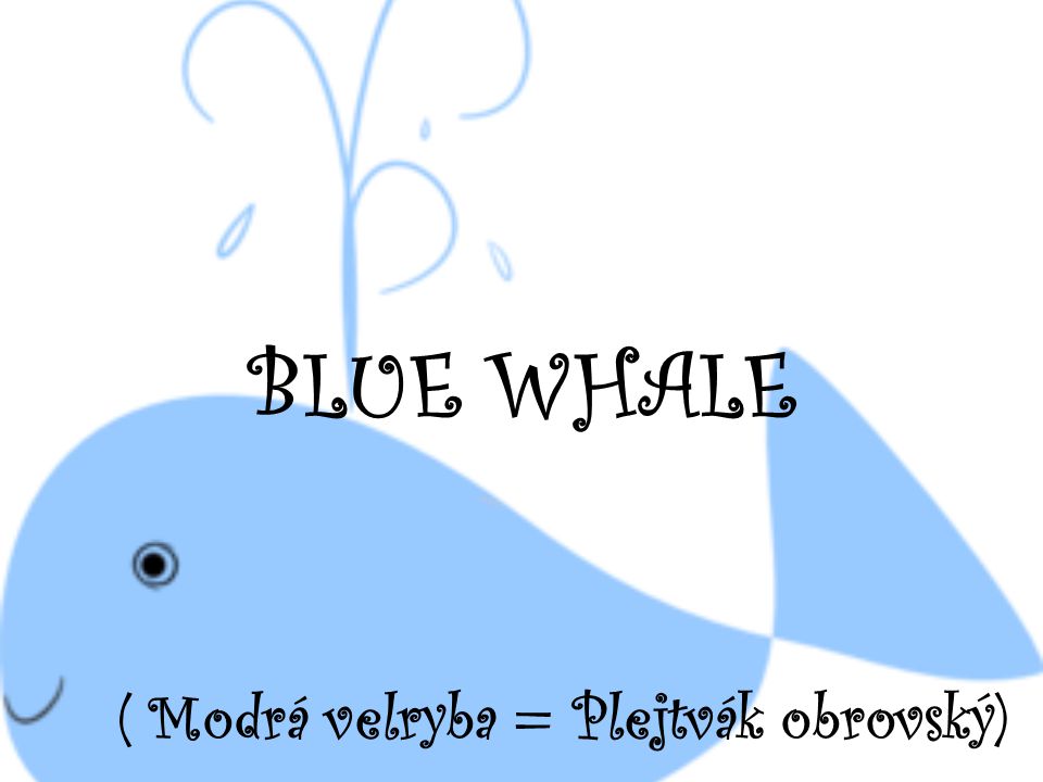 ( Modrá velryba = Plejtvák obrovský)