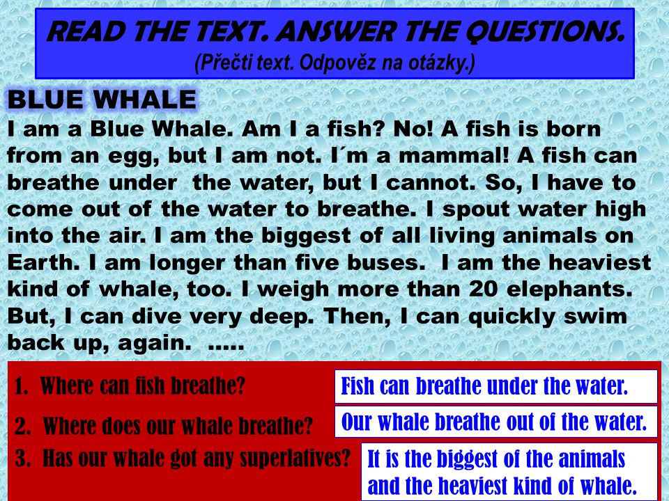 READ THE TEXT. ANSWER THE QUESTIONS. (Přečti text. Odpověz na otázky.)