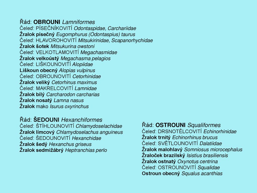 Třída: Paryby Chondrichthyes - Ppt Stáhnout