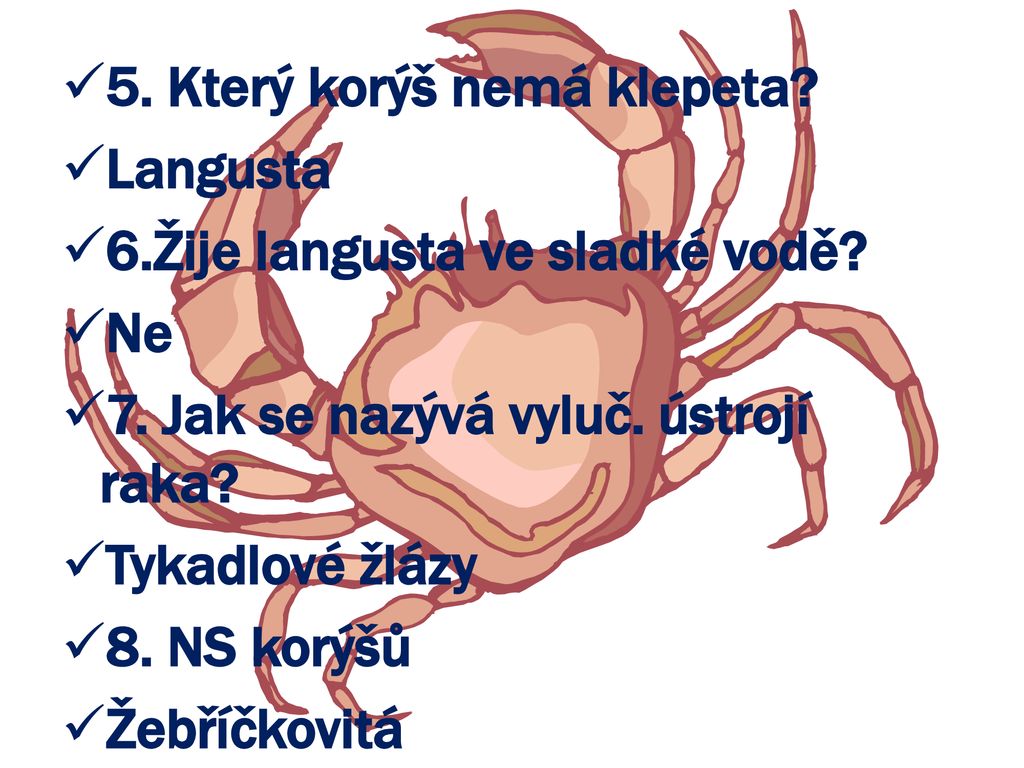 Který z korýšů nemá klepeta?