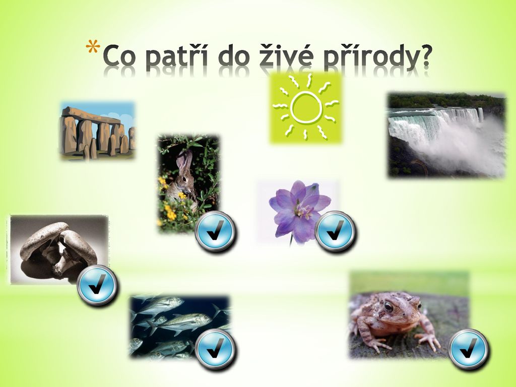 Co patří do přírody?