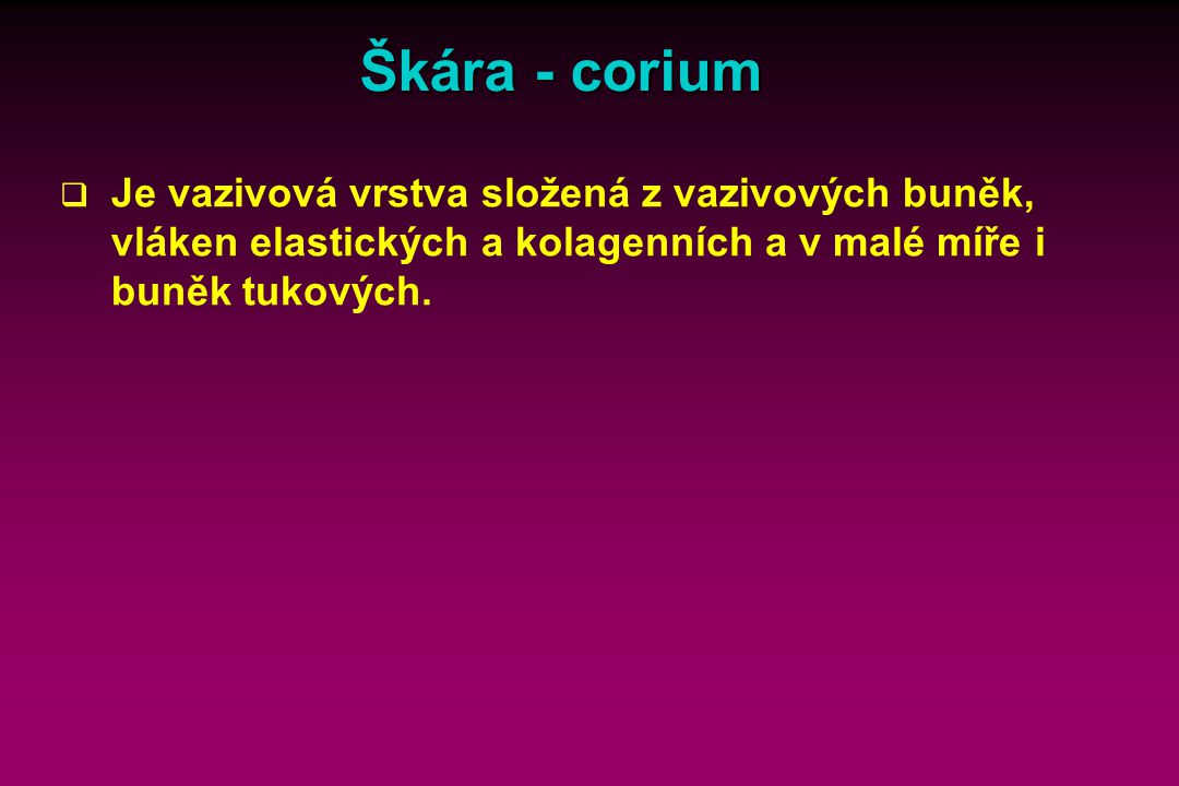 Škára - corium Text: Reprodukce nálevníků