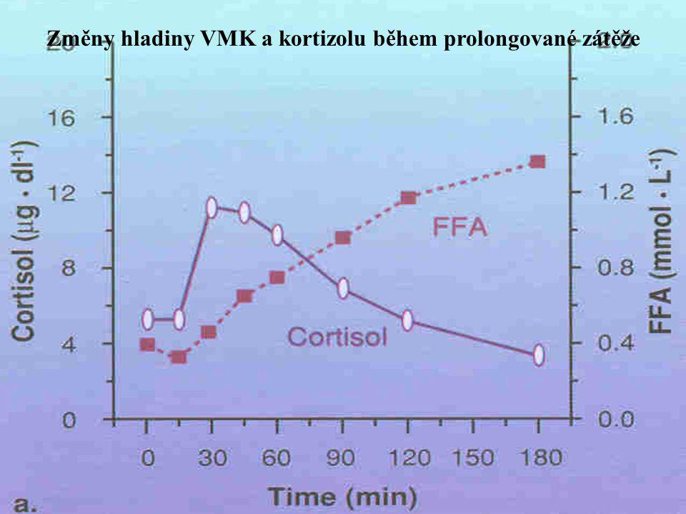 Změny hladiny VMK a kortizolu během prolongované zátěže