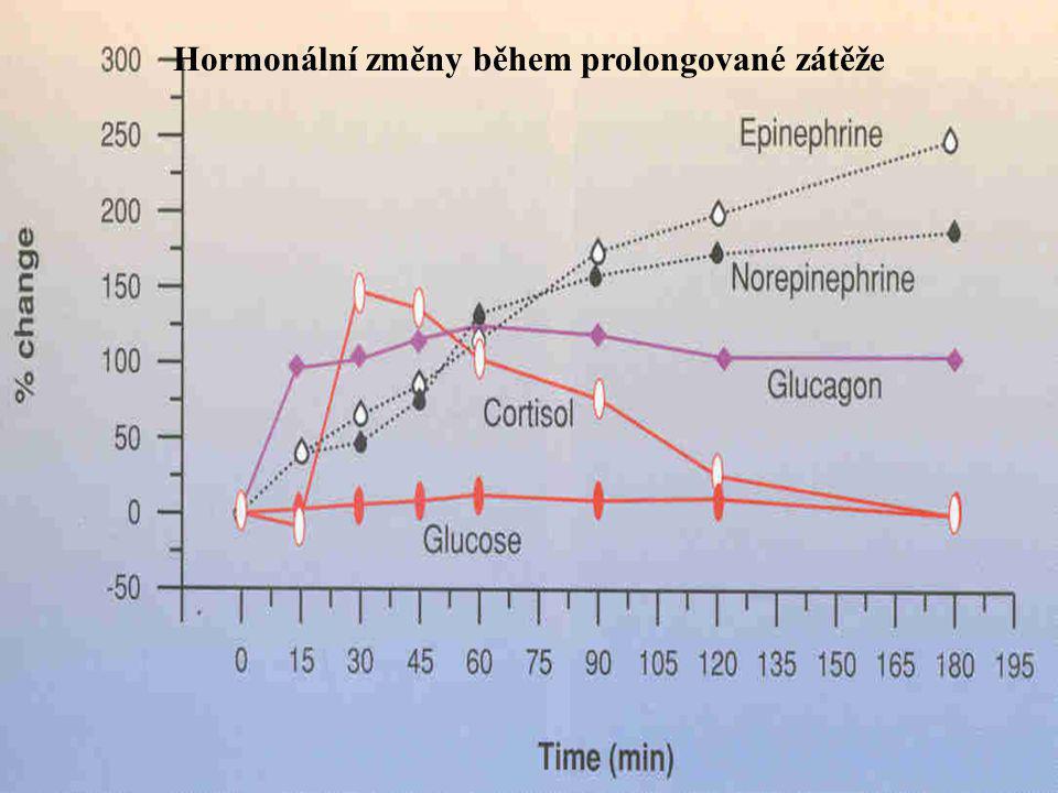 Hormonální změny během prolongované zátěže