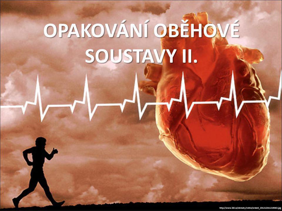 OPAKOVÁNÍ OBĚHOVÉ SOUSTAVY II.