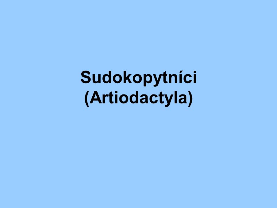 Sudokopytníci (Artiodactyla)