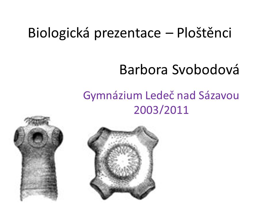 Biologická prezentace – Ploštěnci Barbora Svobodová