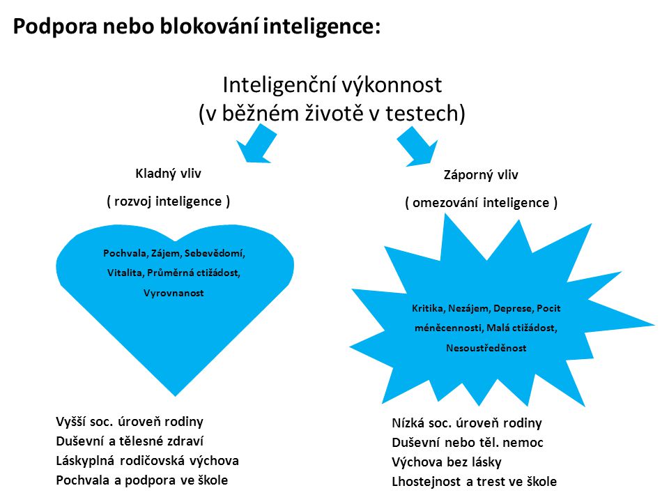Podpora nebo blokování inteligence: Inteligenční výkonnost (v běžném životě v testech)