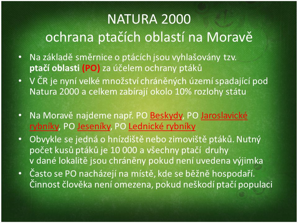 NATURA 2000 ochrana ptačích oblastí na Moravě