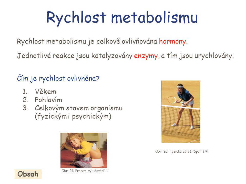 Rychlost metabolismu Rychlost metabolismu je celkově ovlivňována hormony. Jednotlivé reakce jsou katalyzovány enzymy, a tím jsou urychlovány.