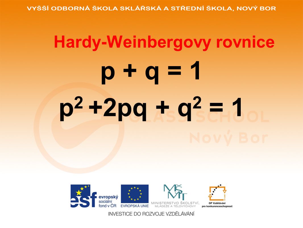 Hardy-Weinbergovy rovnice
